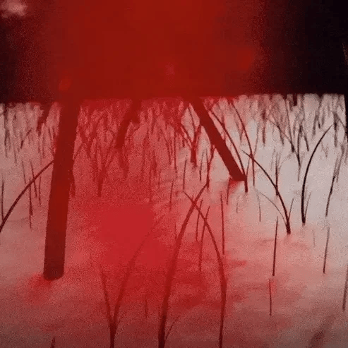 Red Light Therapy Cap for Hair Regrowth Treatments